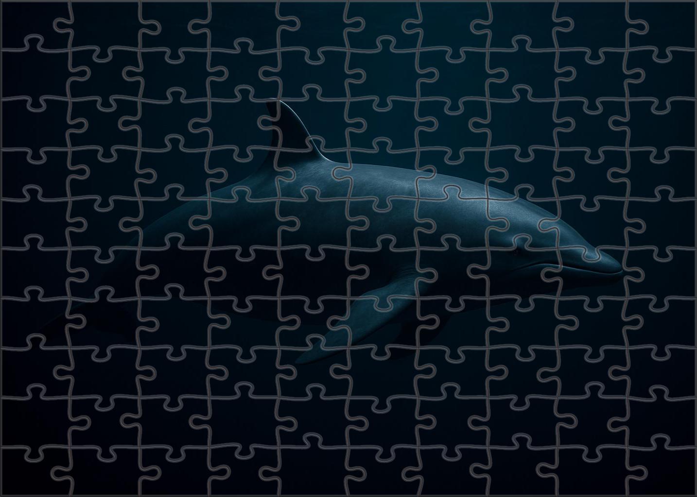 Dusky Fin Whaler Deep-water Solitary Cetacean Puzzle Fun