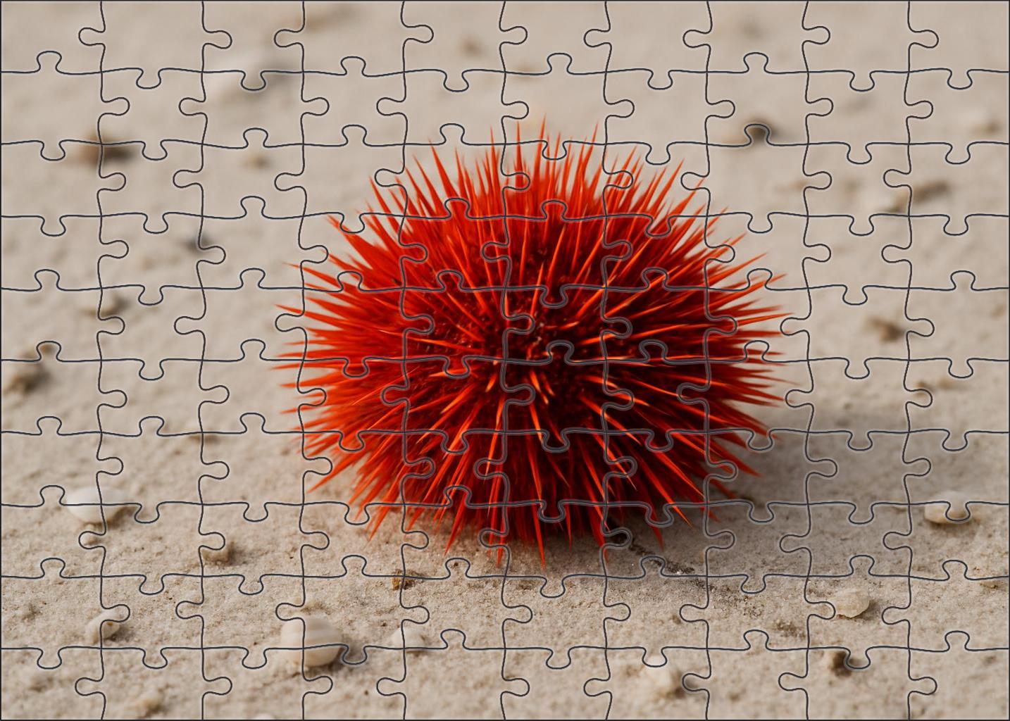 Crimson Spine Urchin Spiny Sentinel Of Sandy Slopes 200 Piece Puzzle