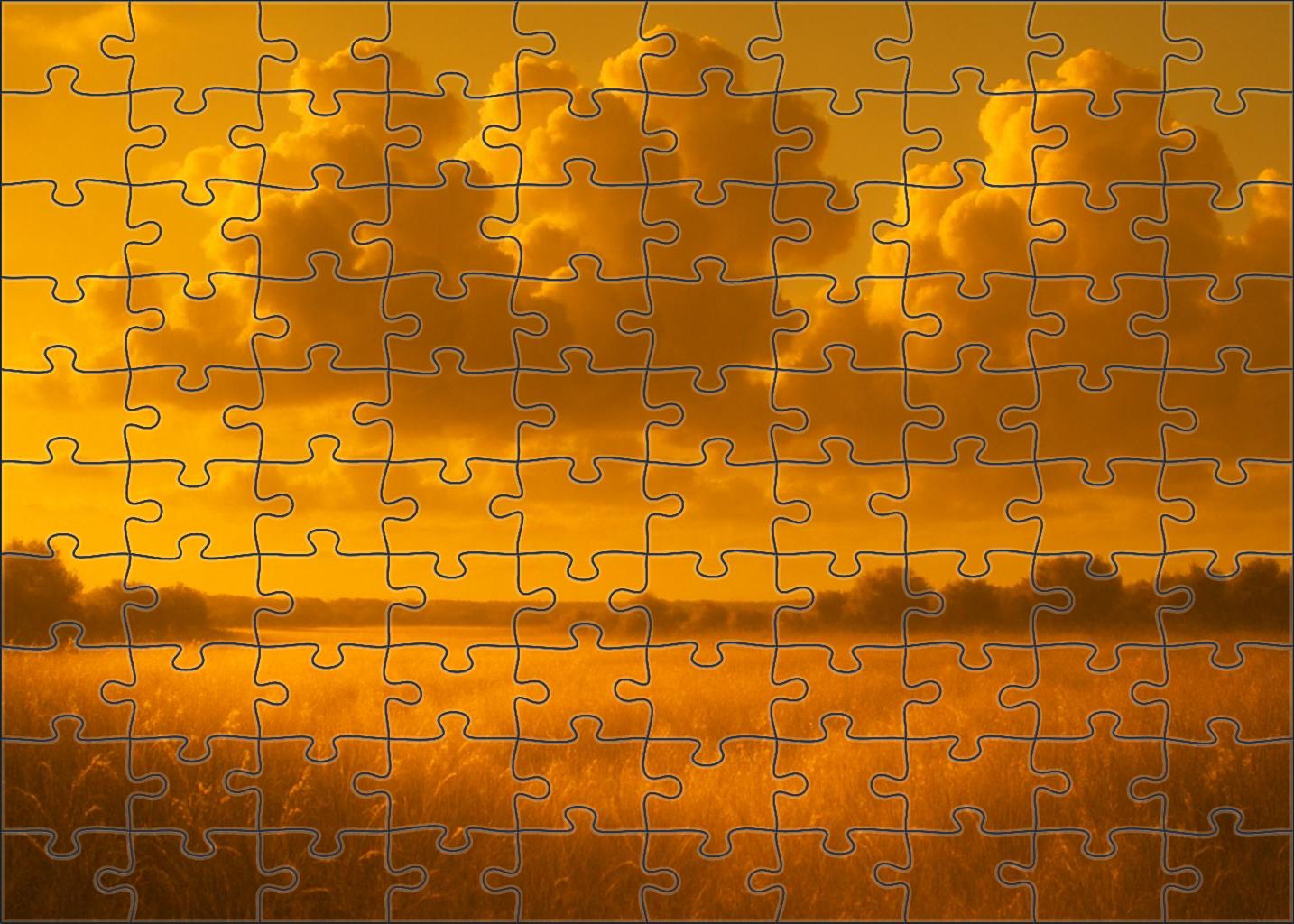 Golden Hour Meadow Glow Puzzle Collection