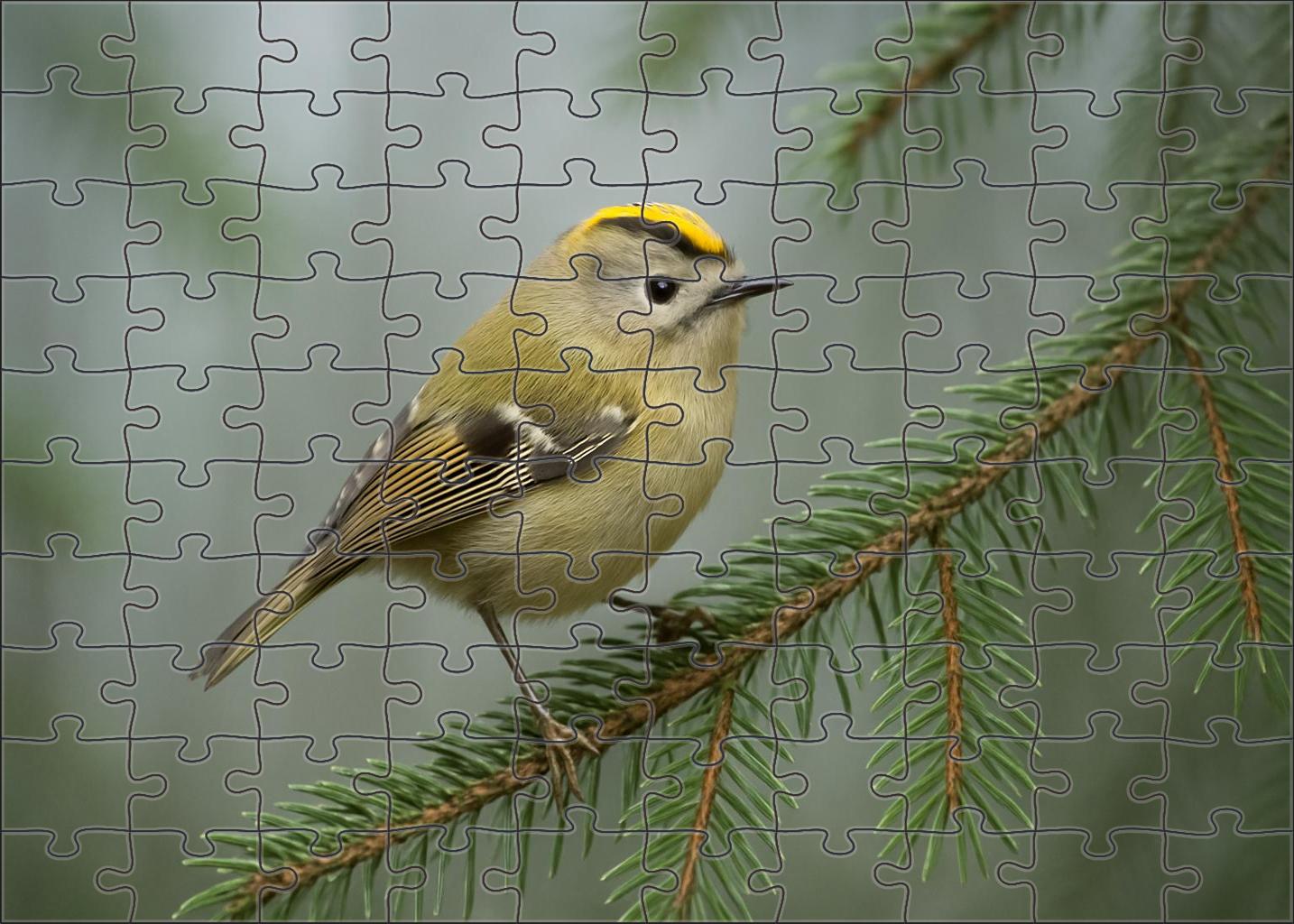 Golden-crowned Kinglet Tiny Woodland Sprite Large Format Puzzle