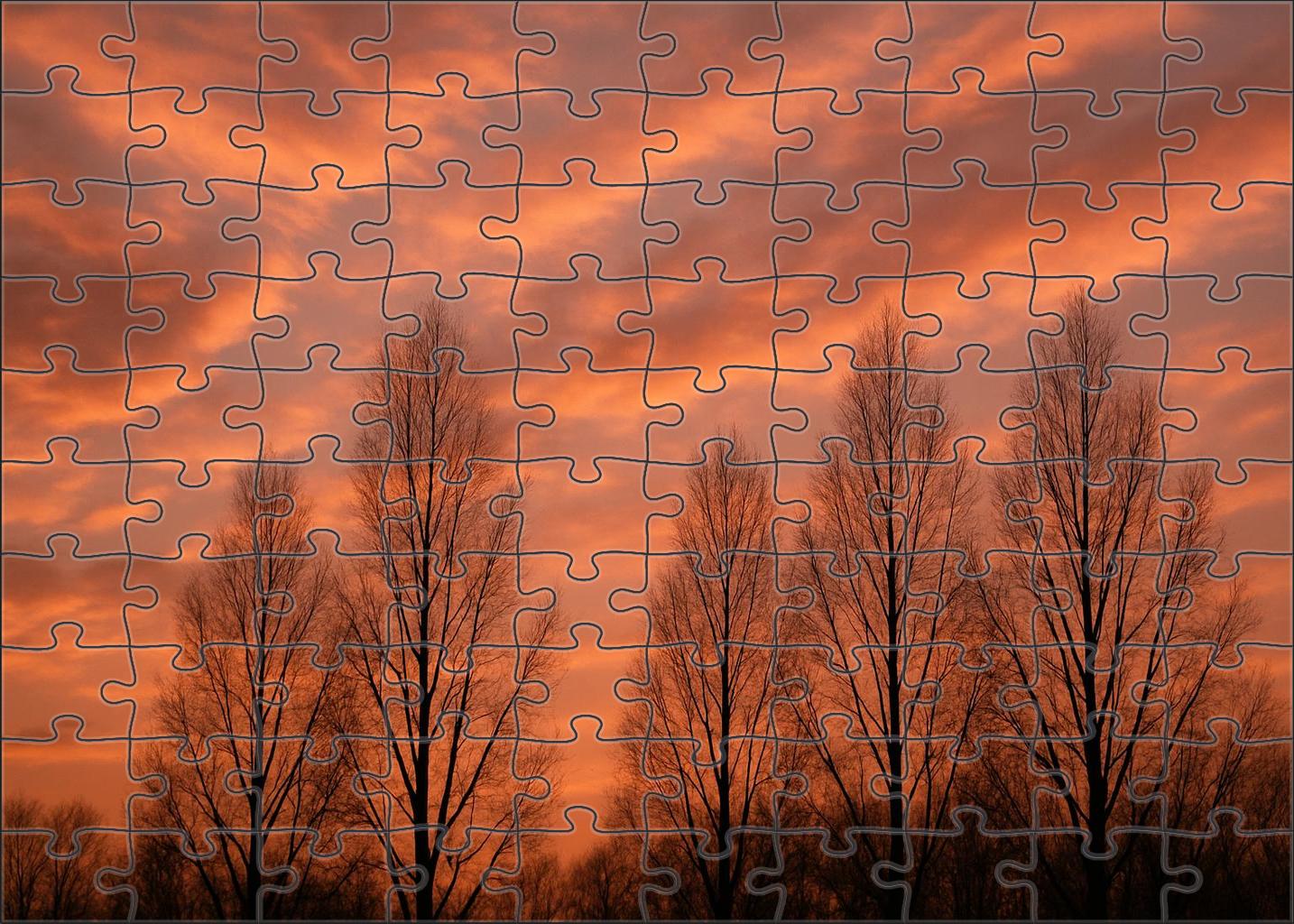 Copper Twilight Blush Challenging Puzzles