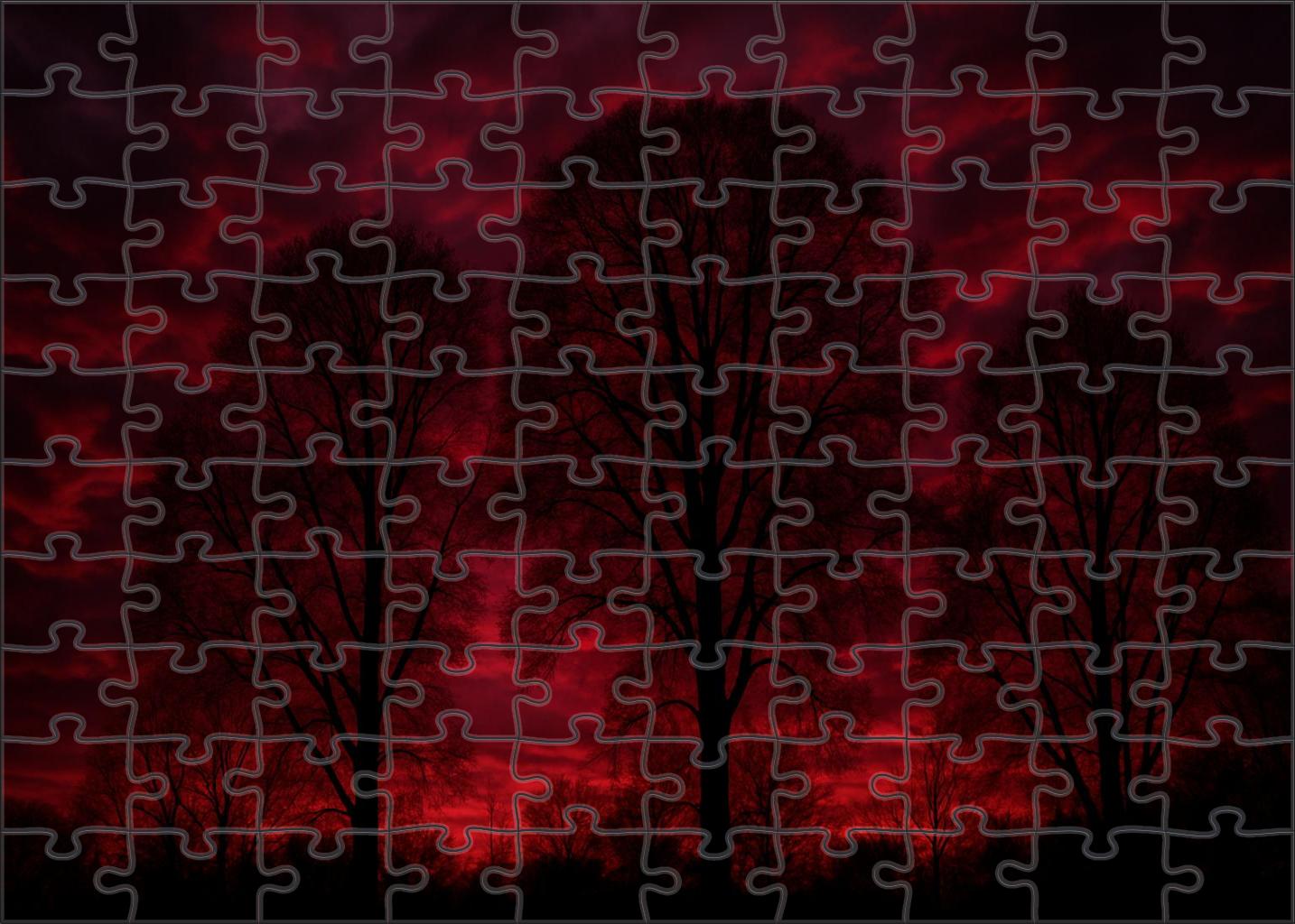 Crimson Veil Finale Puzzle For Kids