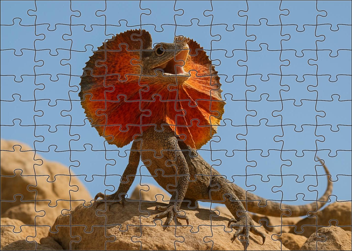 Crimson Fan-tail Lizard Display Specialist With Vibrant Frilled Neck Puzzle Collection