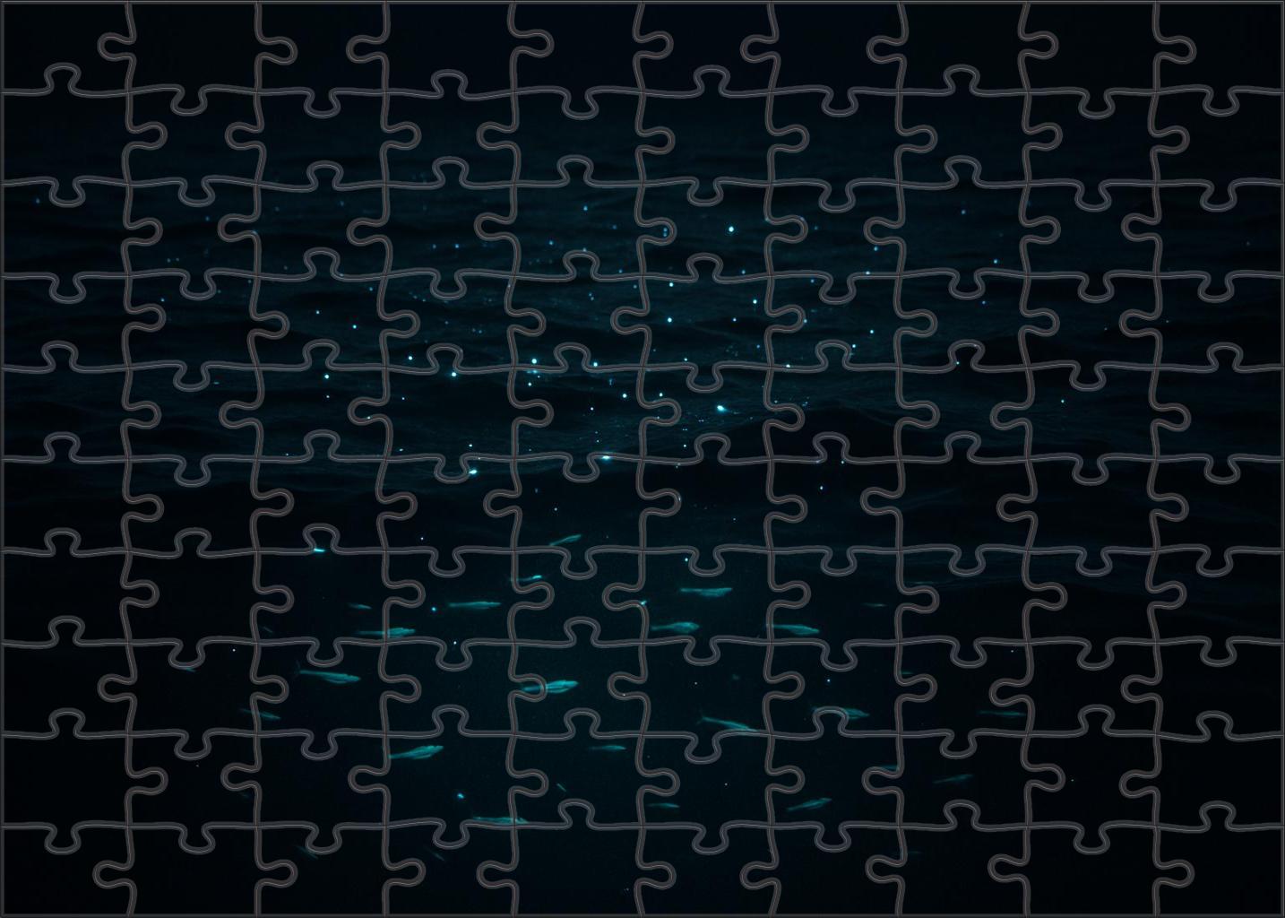 Moonlit Open Ocean Drift 100 Piece Puzzle