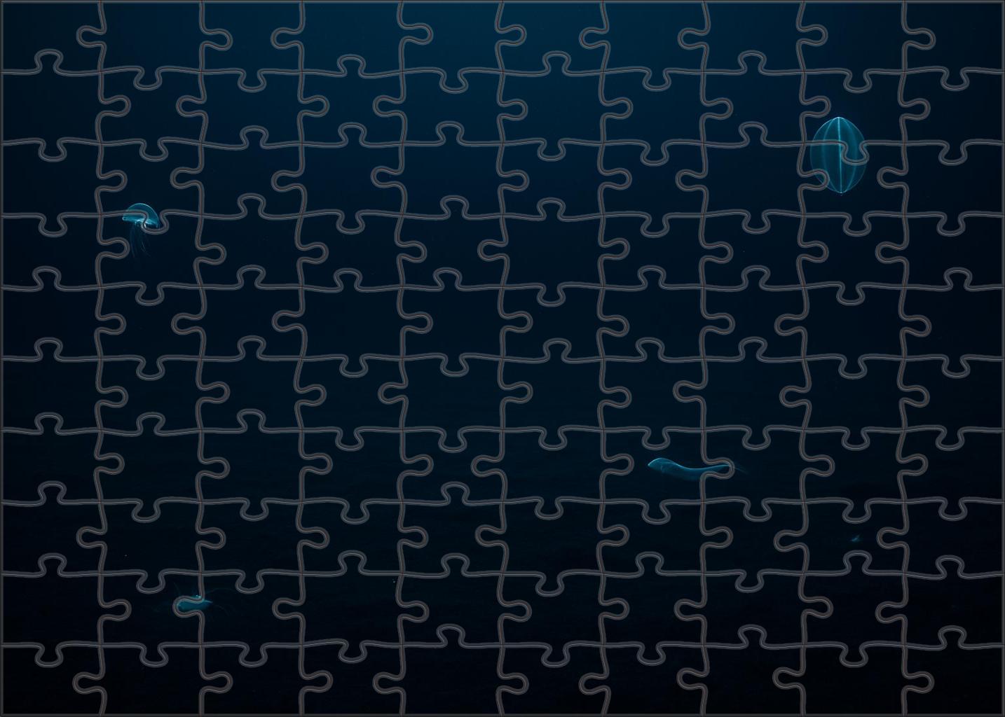 Abyssal Plain Silence Endless Dark Depths Under A Faint Blue Glow 20 Piece Puzzle