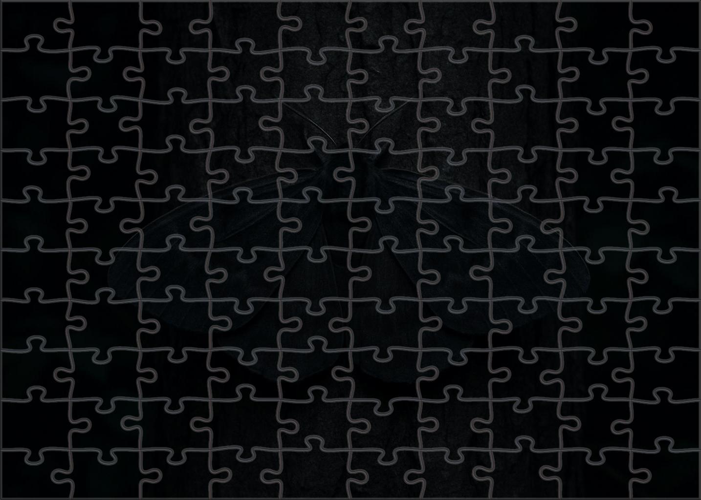 Shadow Veil Moth Large Moth With Smoky Black Wings And Subtle Patterning 100 Piece Puzzle