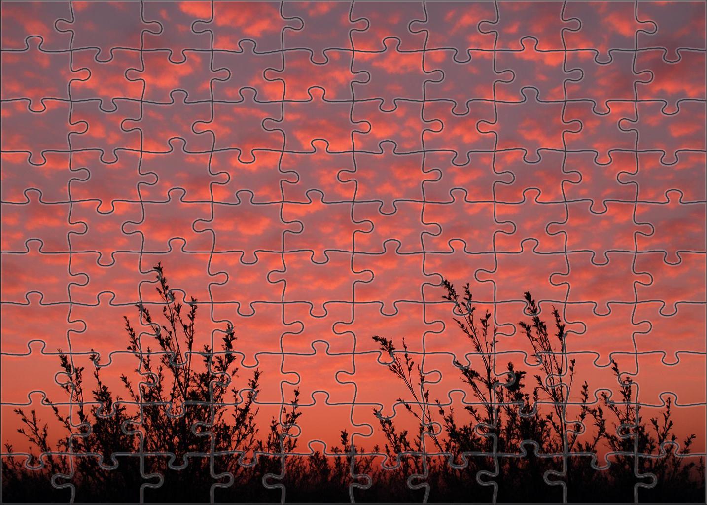 Twilight Coral Radiance Premium Puzzle Pieces