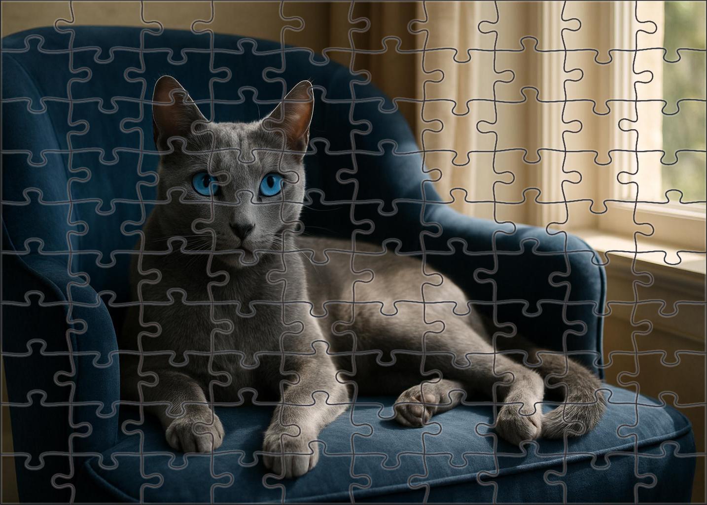 Azure Glow Luminous Blue-eyed Feline With Silky Fur Challenging Puzzles