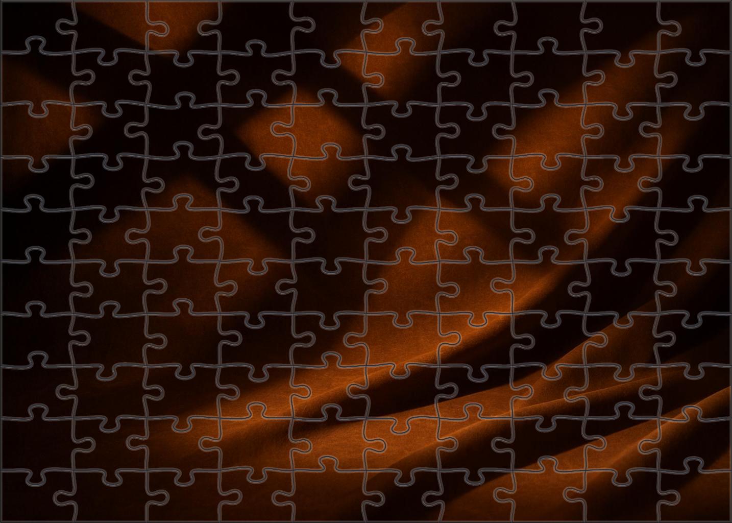 Chamber Of Reflective Shadows 50 Piece Puzzle