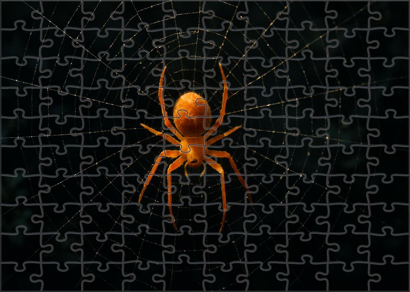 Amber Venomspinner Nocturnal Web Architect 50 Piece Puzzle