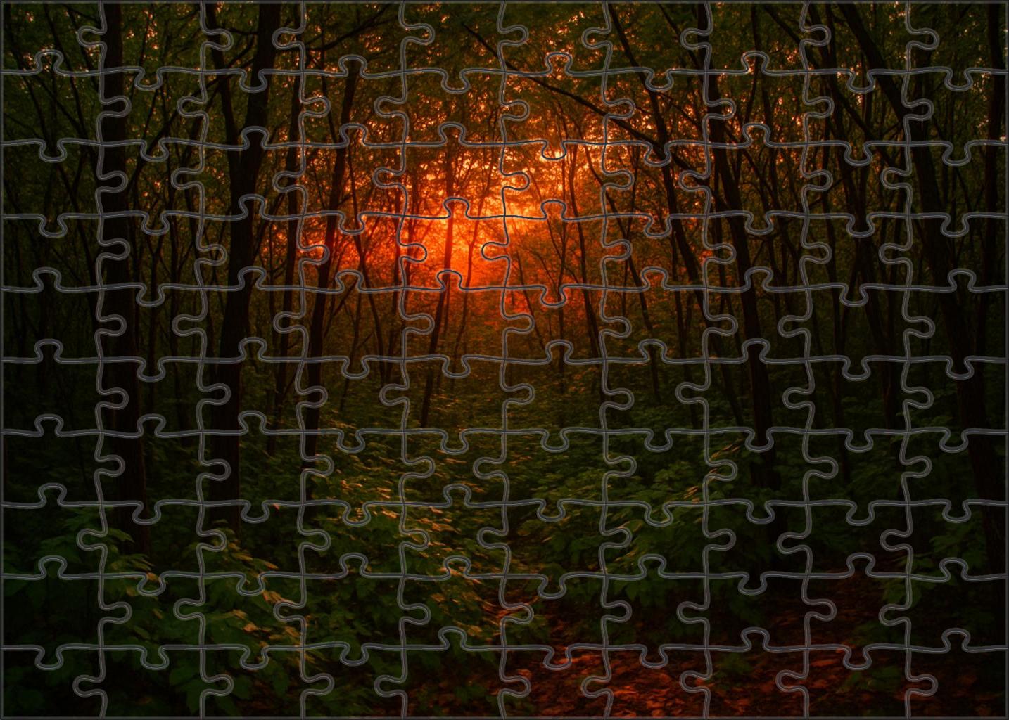 Sunset Thicket Unique Puzzle Design