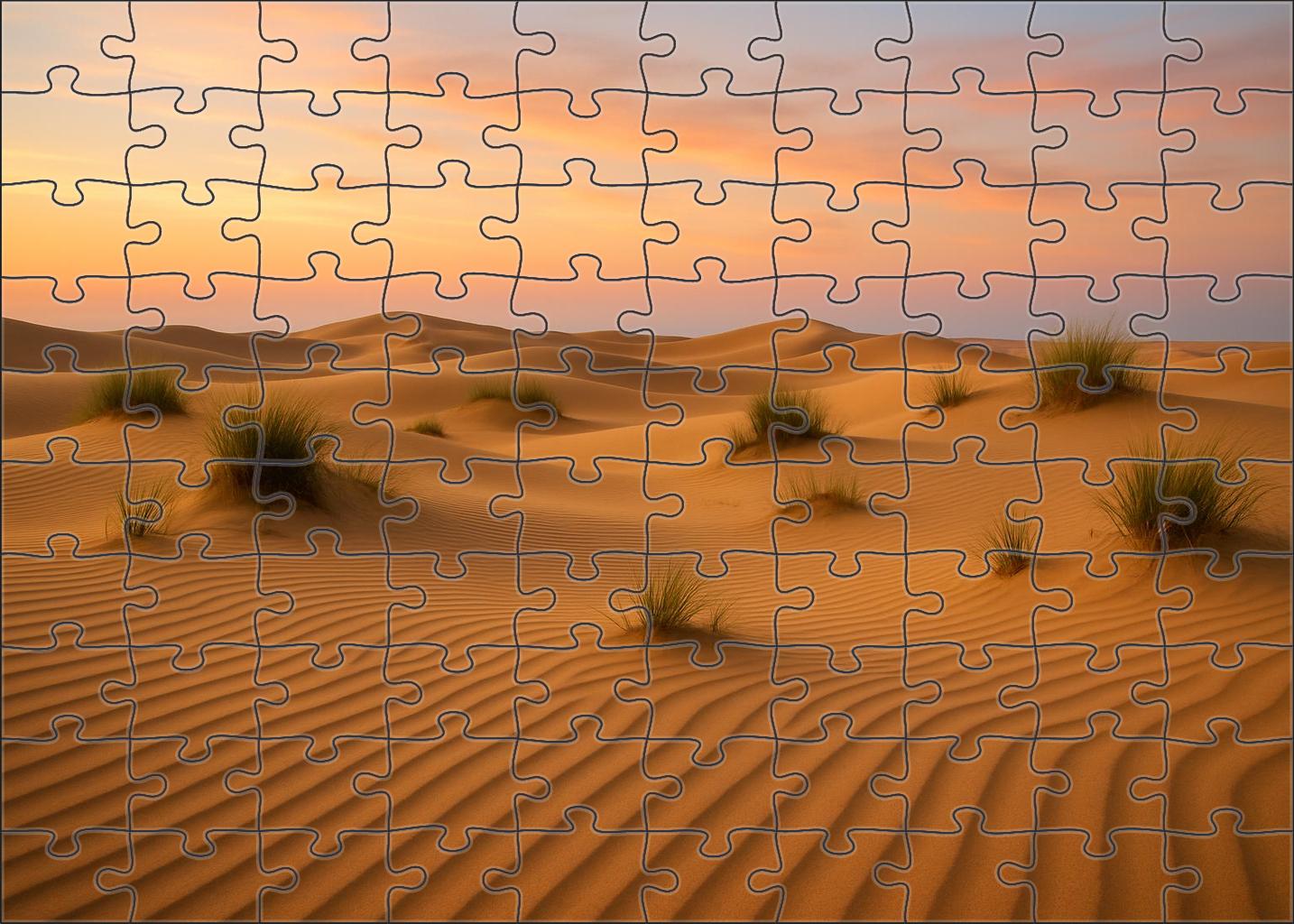 Silent Sand Dunes Custom Jigsaw Puzzle