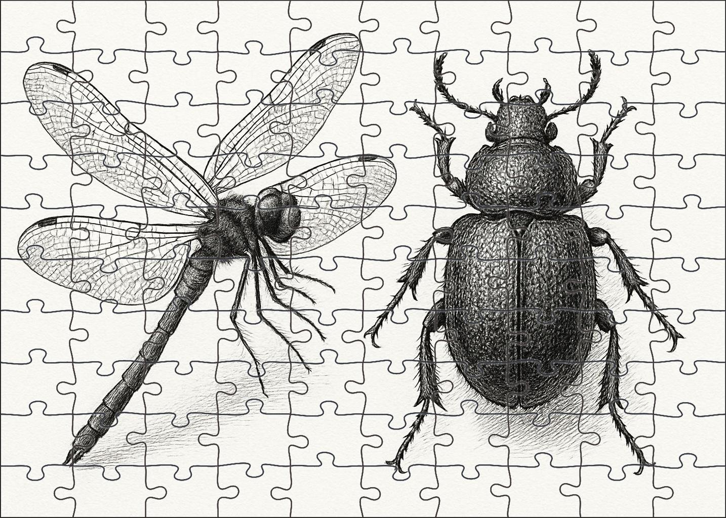 Whimsical Insect Anatomy Delicate Pen And Ink Linework Puzzle Challenge