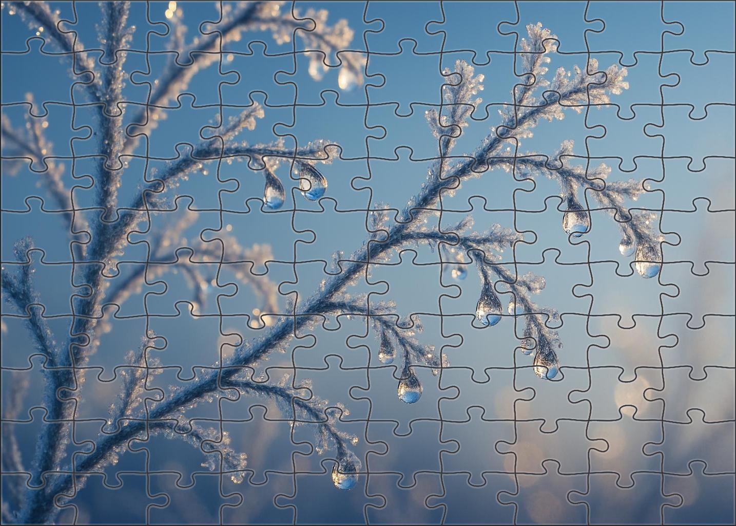 Icy Morning Glimmer Frosted Foliage And Sparkling Dewdrops 100 Piece Puzzle