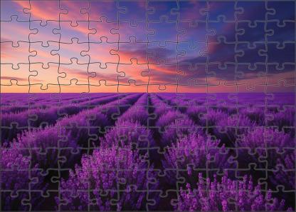Lavender Field Twilight Glow 1000 Piece Puzzle