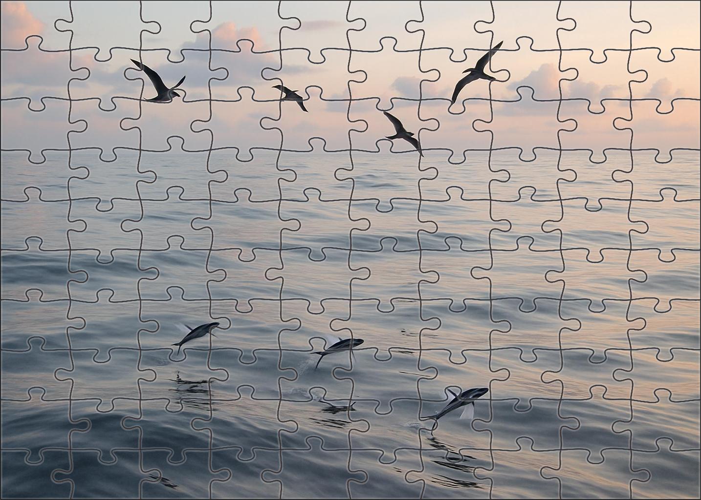 Silver Surface Drift Gentle Swells Beneath Pale Morning Light 200 Piece Puzzle