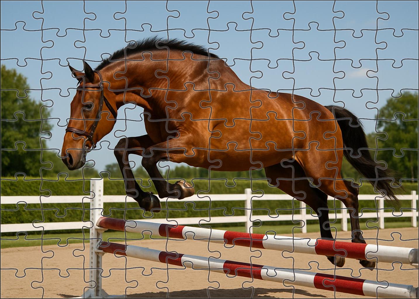 Golden Horizon Hunter Warm Bay With Smooth Jumping Style 500 Piece Puzzle