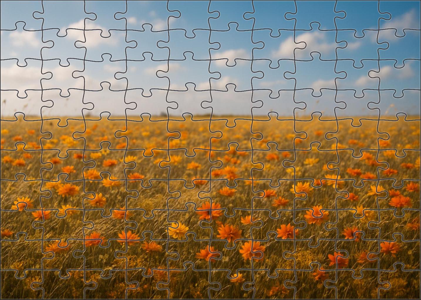 Golden Meadow Wildflower Quilt 200 Piece Puzzle