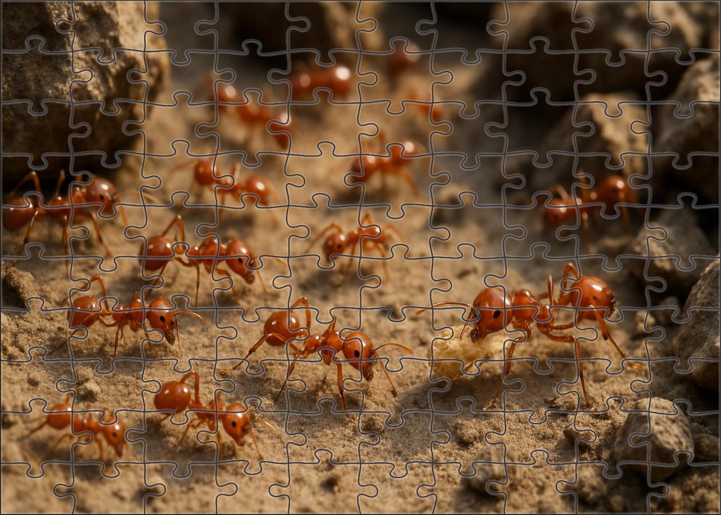 Cinderthorn Ant Fiery-hued Insect With Resilient Exoskeleton And Cooperative Colonies Custom Jigsaw Puzzle