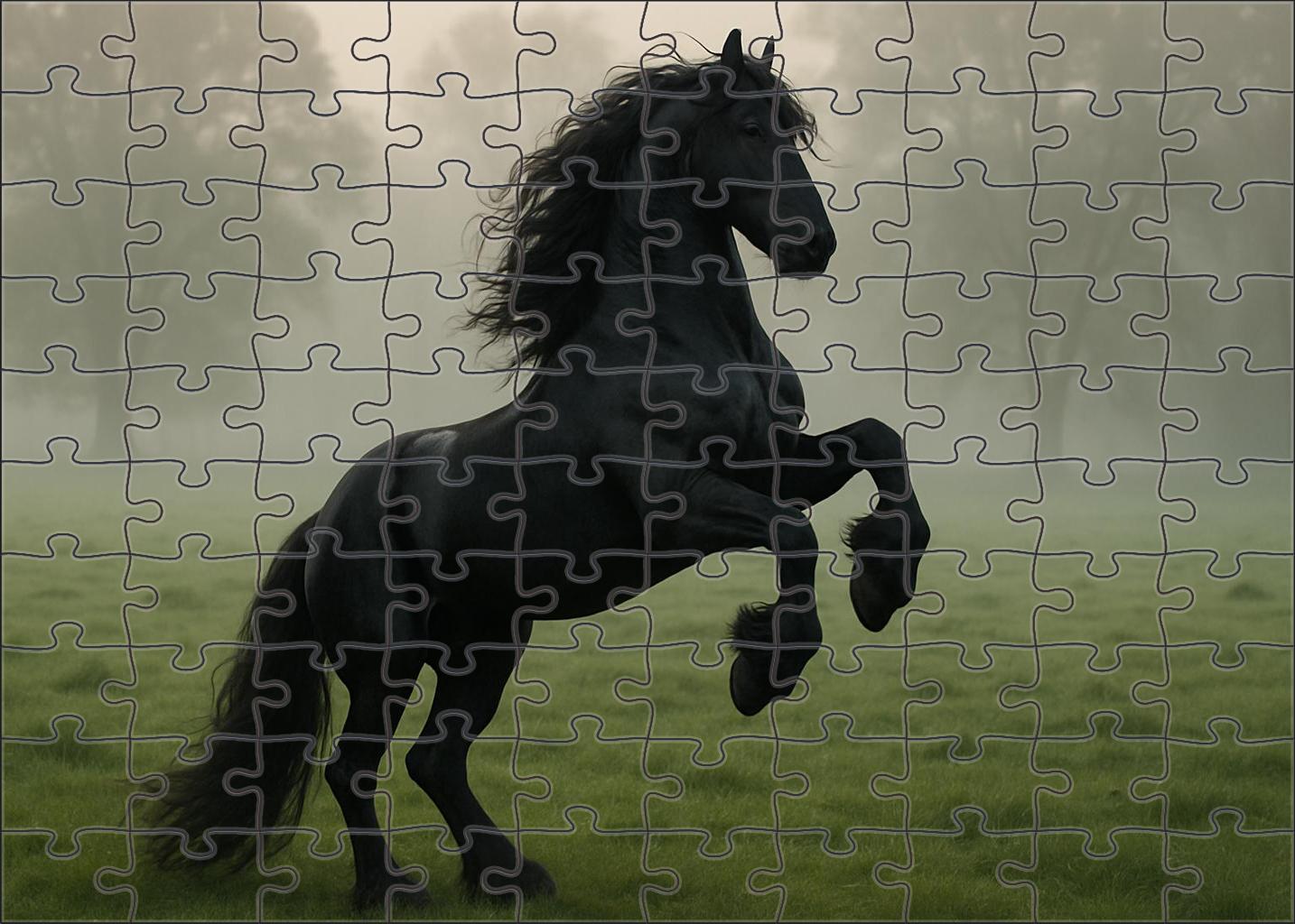 Ebony Thunder Majestic Black Friesian Stallion Challenging Puzzles