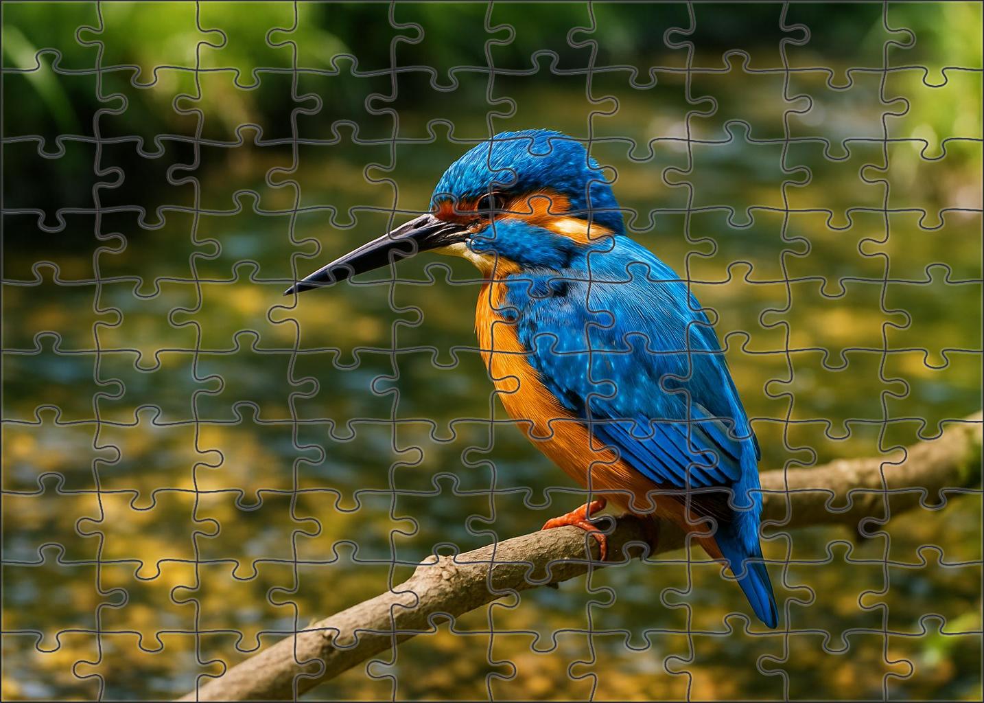 Azure Kingfisher Jewel Of The Rippling Streams Challenging Puzzles