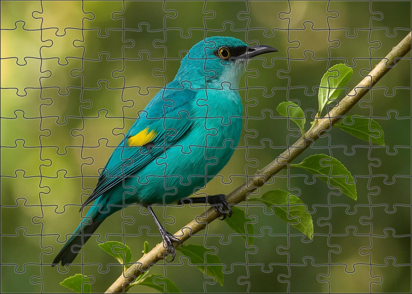 Silver-throated Tanager Tropical Jewel Of The Canopy 50 Piece Puzzle
