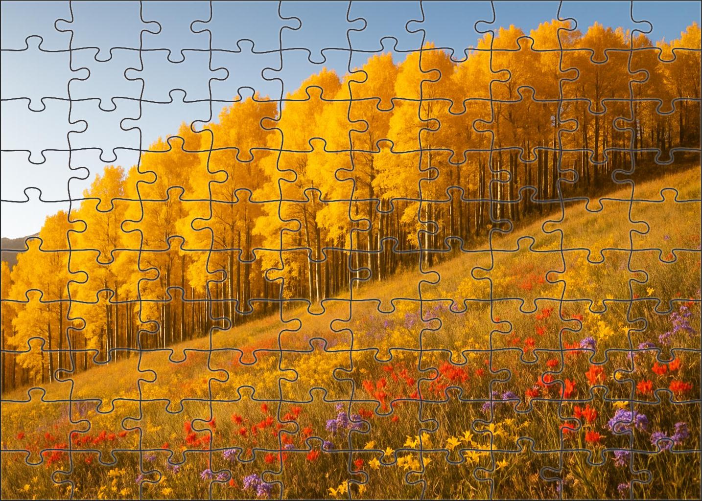Golden Aspen Rise 20 Piece Puzzle
