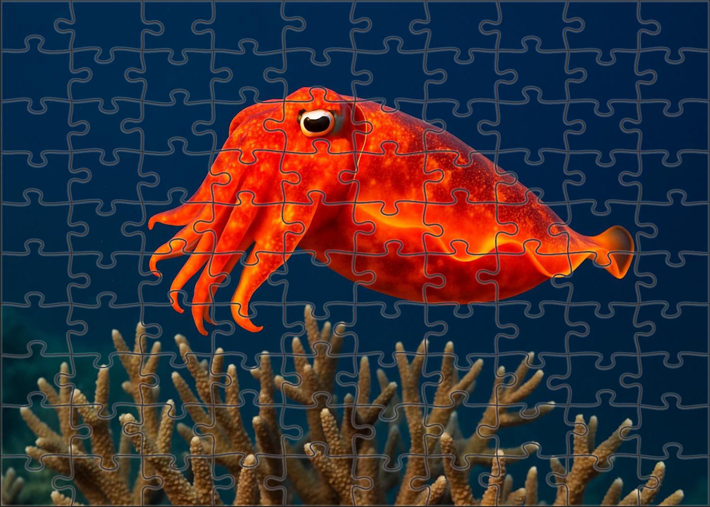 Sunset Glow Cuttlefish Master Of Color And Movement 1000 Piece Puzzle