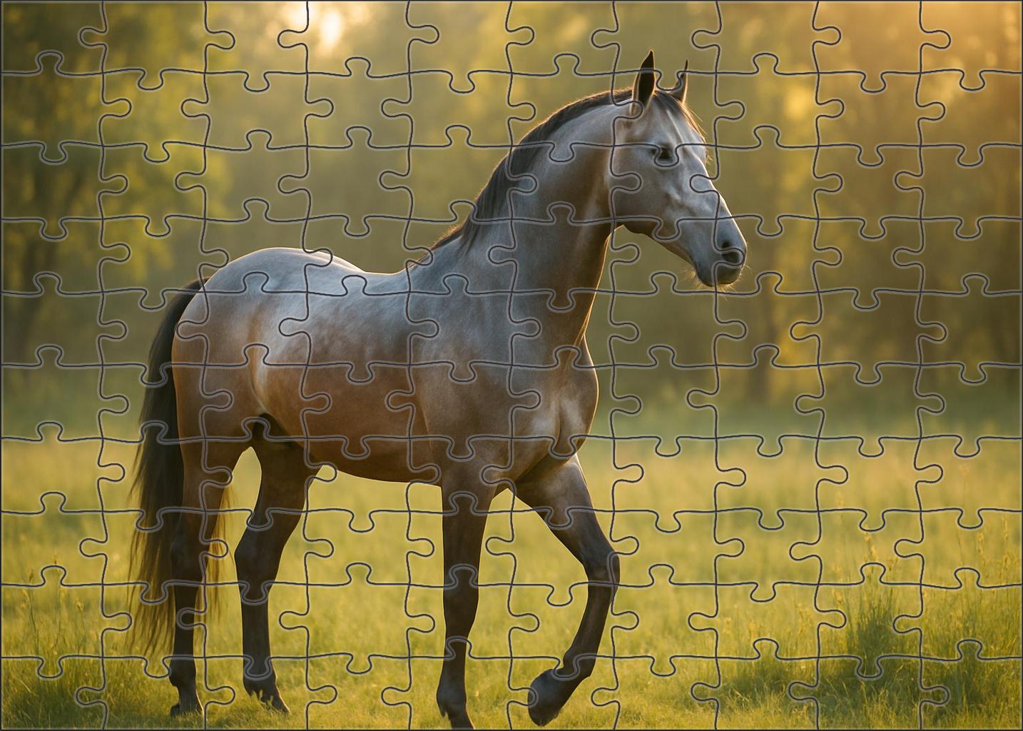 Silver Dusk Morgan Stallion Challenging Puzzles