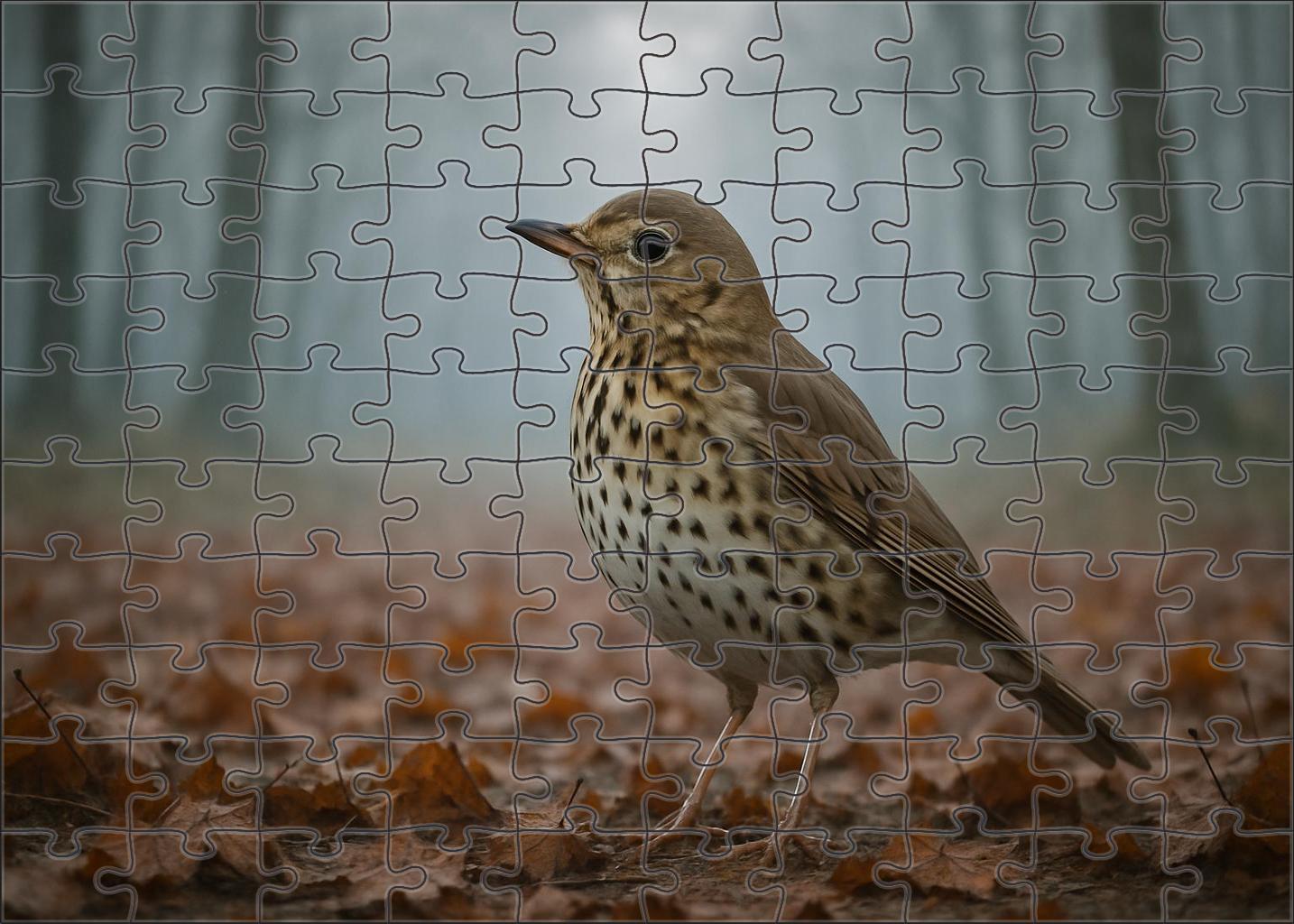 Dusky Thrush Winter Song Specialist Challenging Puzzles