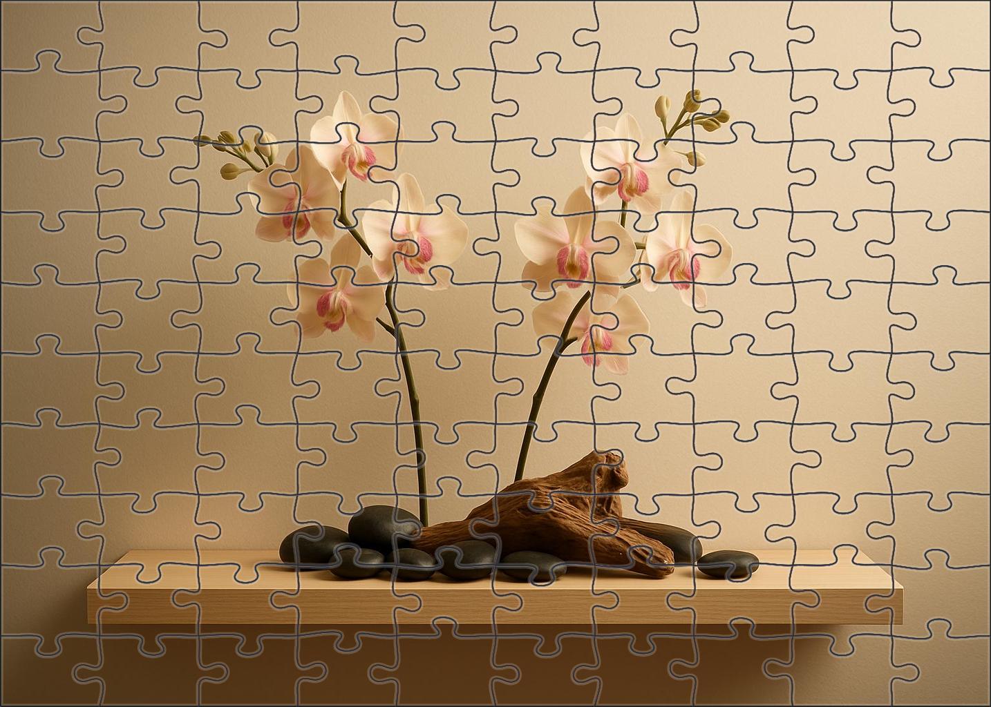 Luminous Orchid Alcove Puzzle Challenge