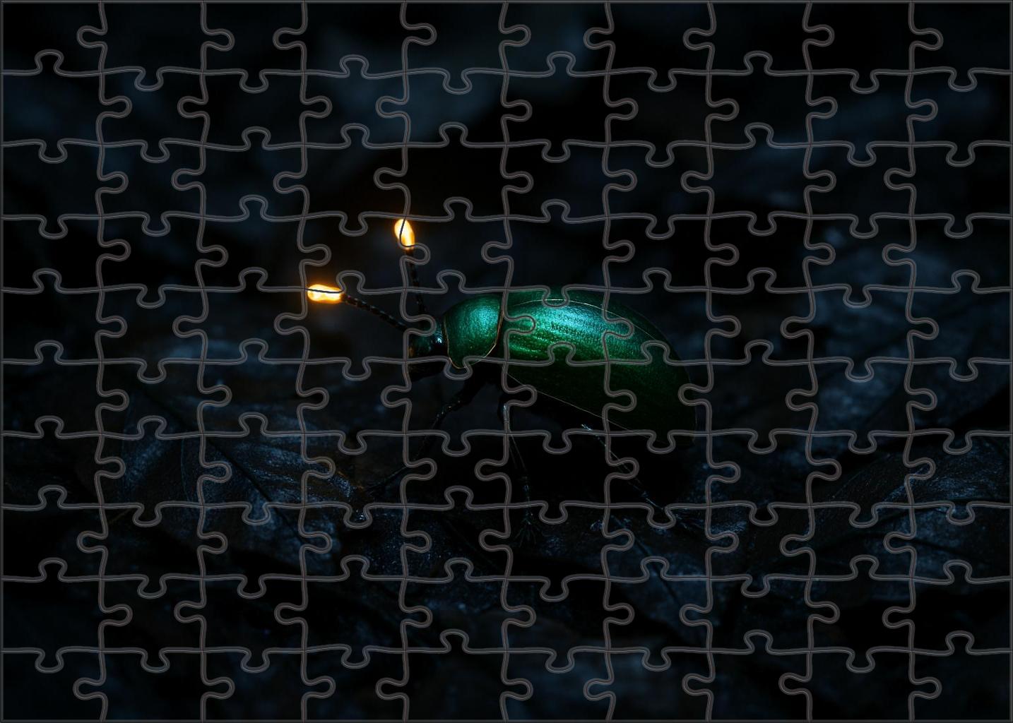 Topaz-tipped Antennae Beetle Nocturnal Forager With Jewel-like Sensory Organs Puzzle Collection