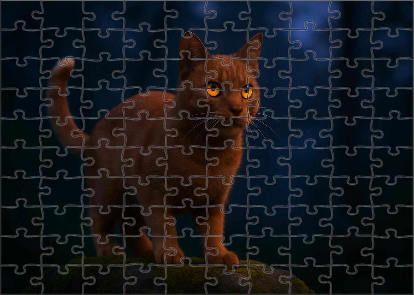 Copper Dusk 50 Piece Puzzle