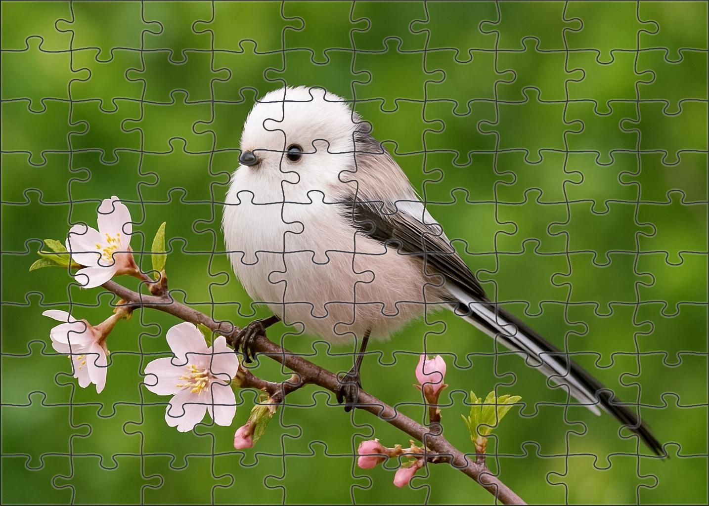 Long-tailed Tit Tiny Fluffball Puzzle Fun