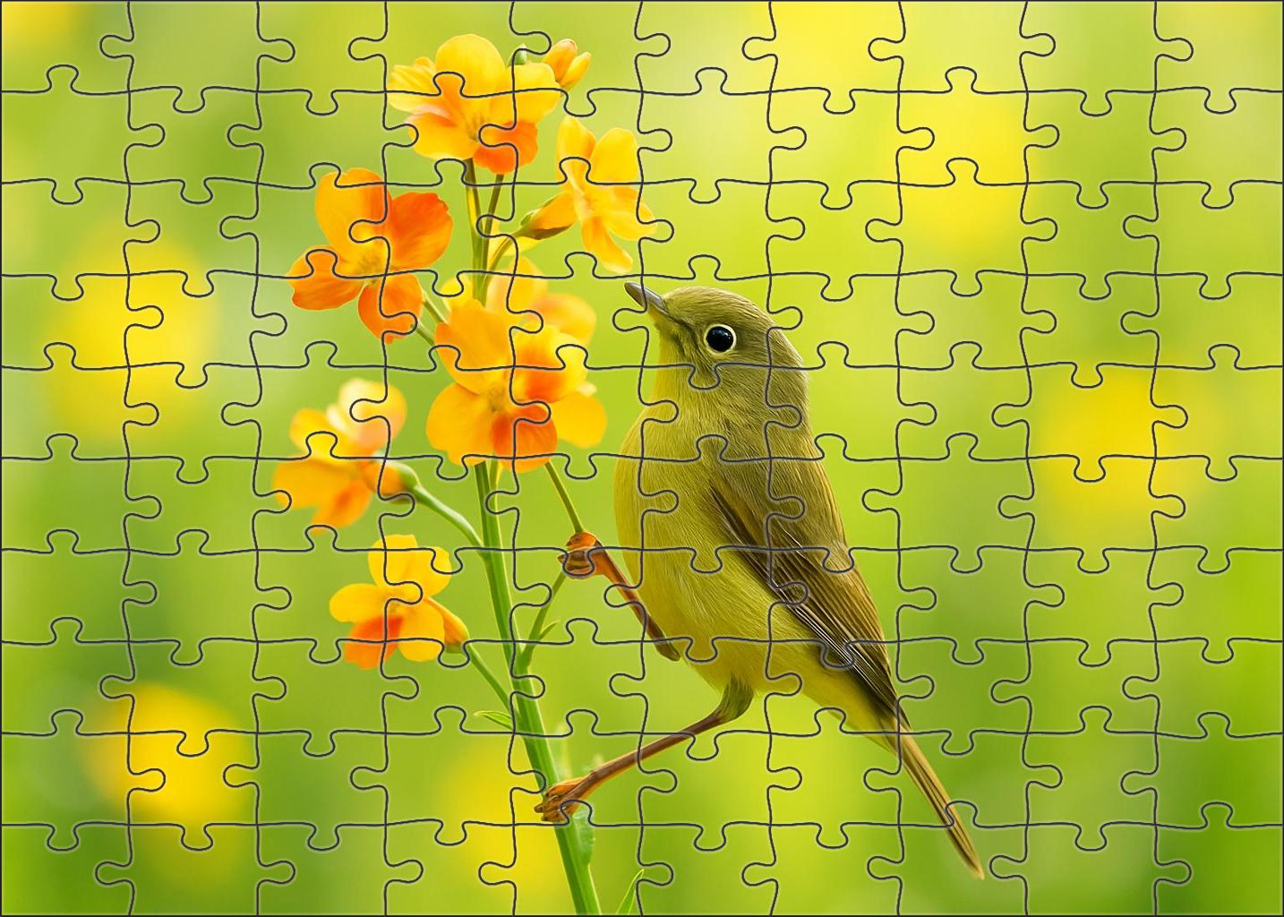 Olive-backed Sunbird Tiny Nectar Collector Challenging Puzzles