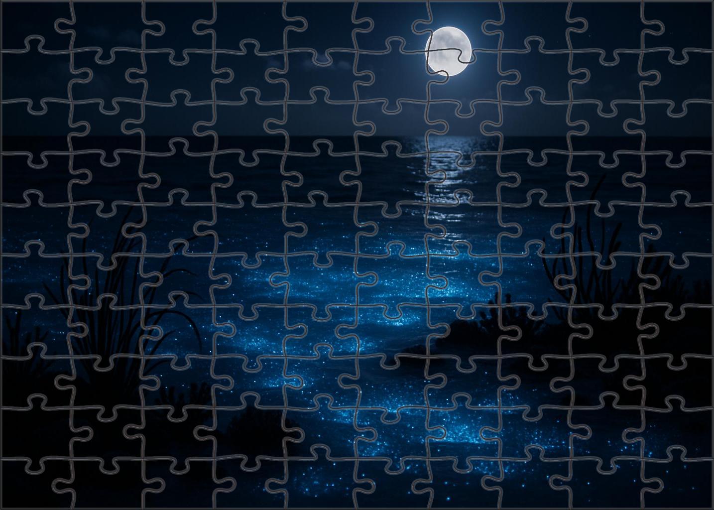 Moonshadow Lagoon Puzzle Challenge
