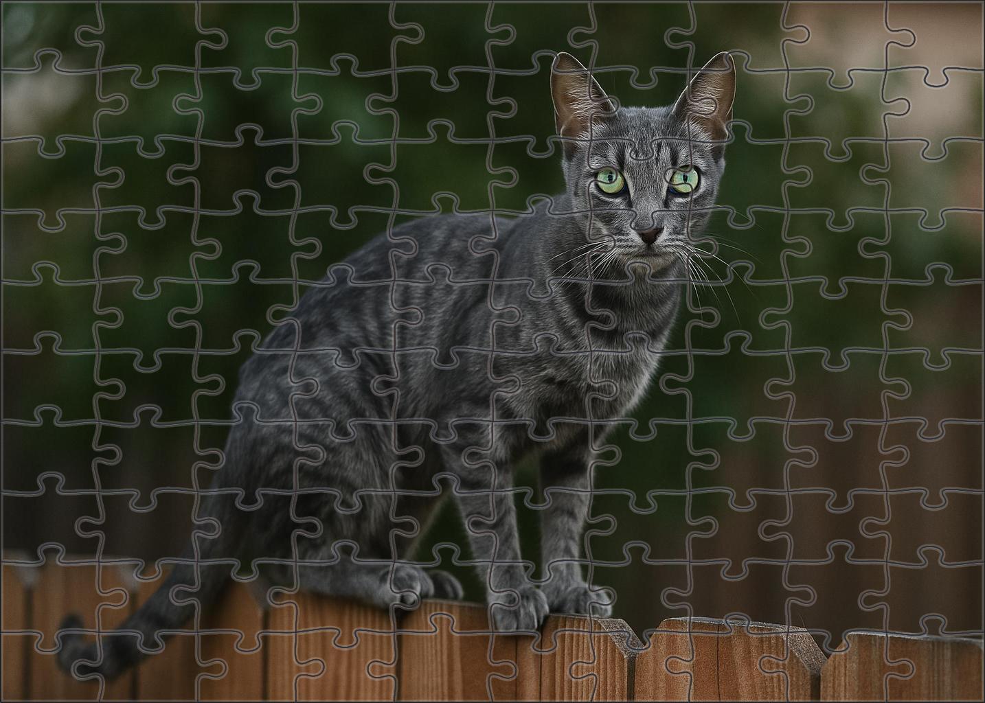 Graphite Stripe Sleek Shorthaired Cat With Inquisitive Spirit 1000 Piece Puzzle