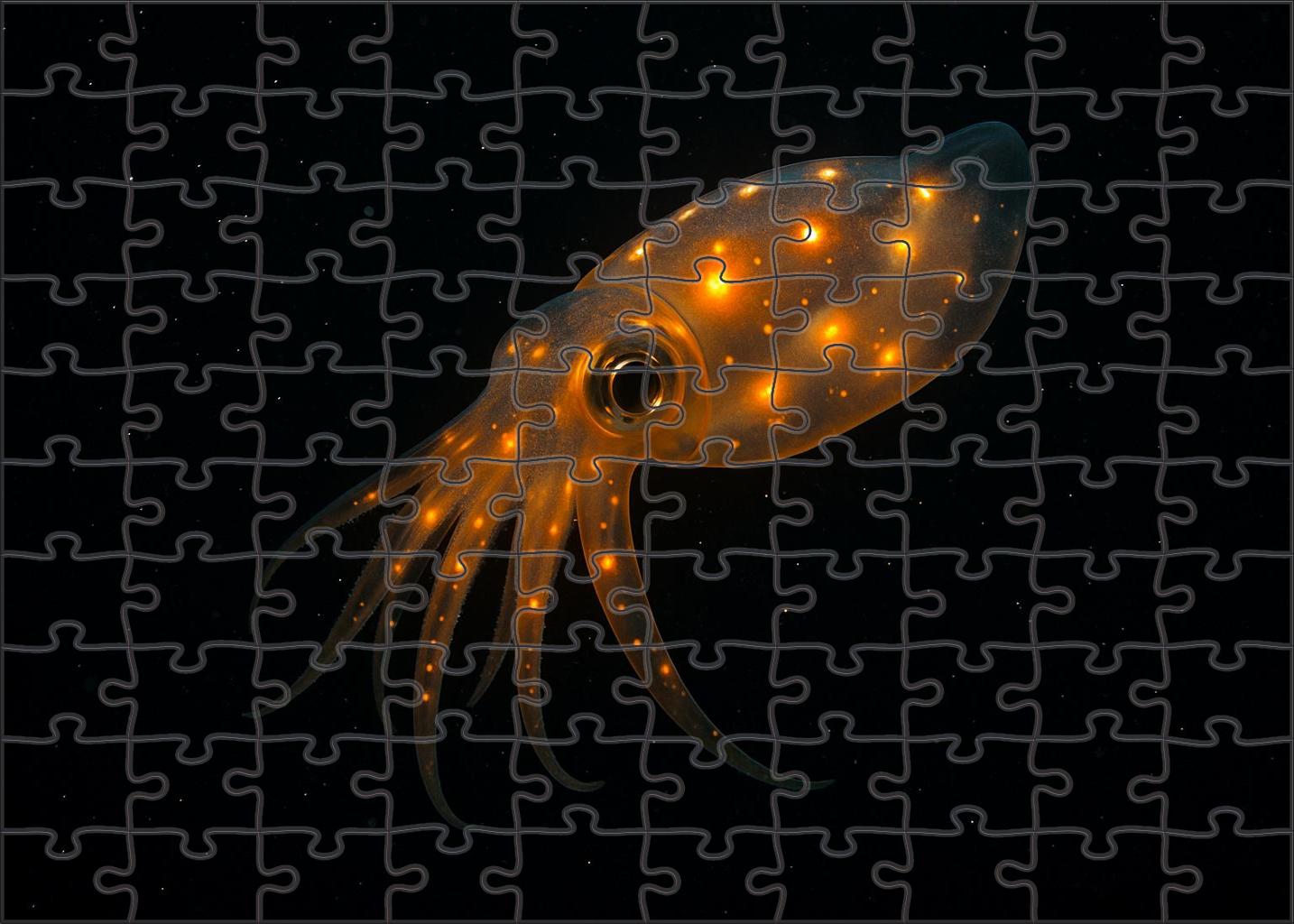 Amber Crystal Squid Deep-sea Luminary With Bioluminescent Spots Puzzle Collection