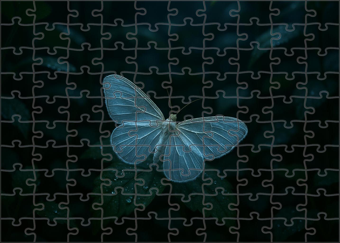 Opal Veil Moth Nocturnal Insect With Translucent Wings And Camouflage Puzzle Fun