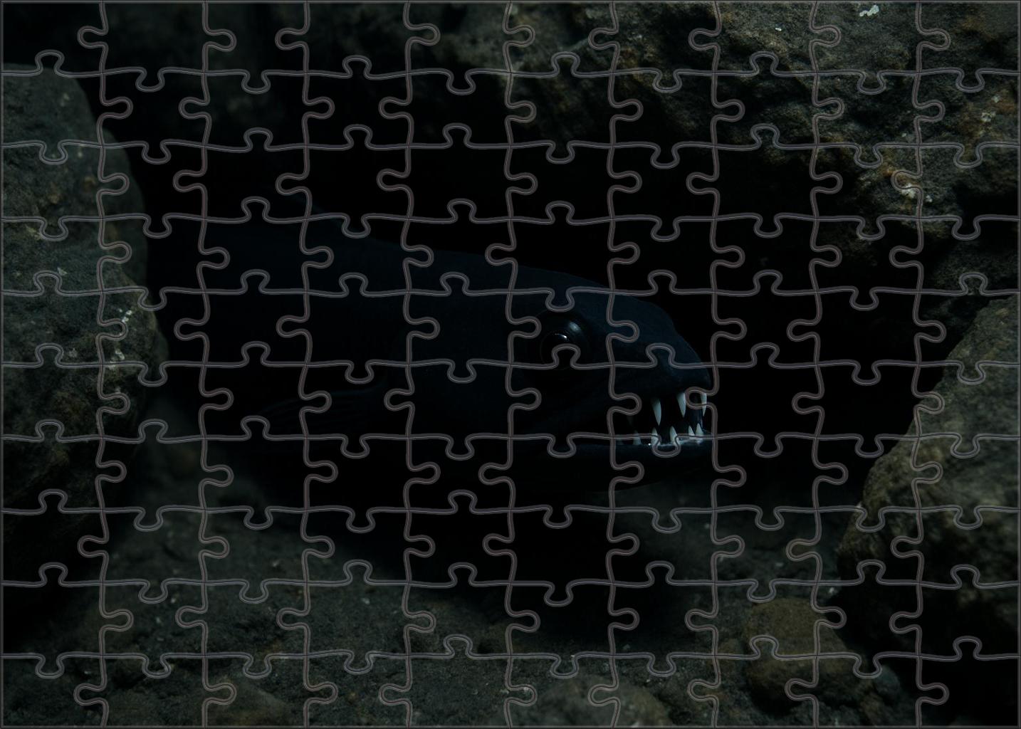 Ivory-spotted Fangtooth 20 Piece Puzzle