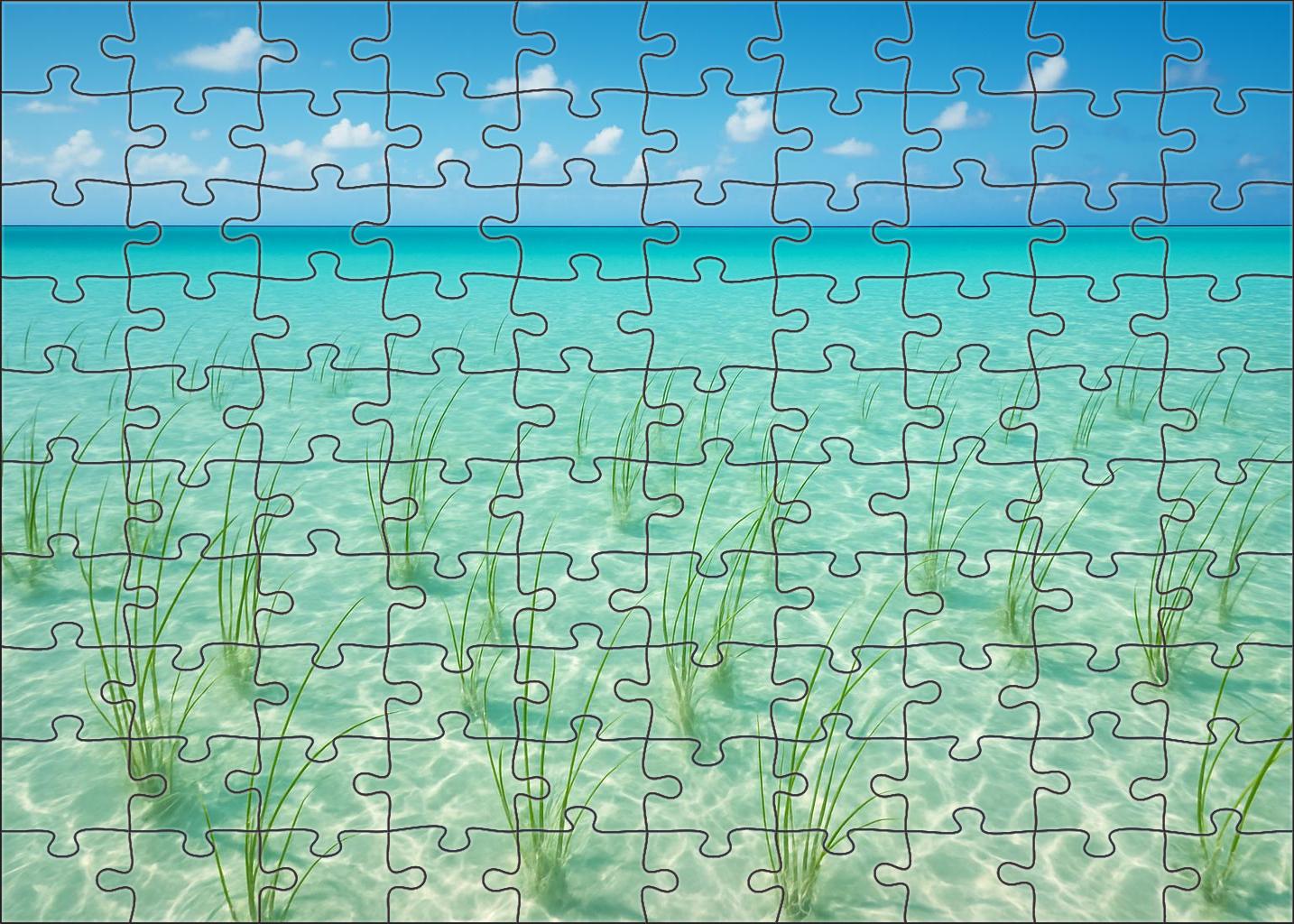 Sandy Lagoon Inlet 1000 Piece Puzzle
