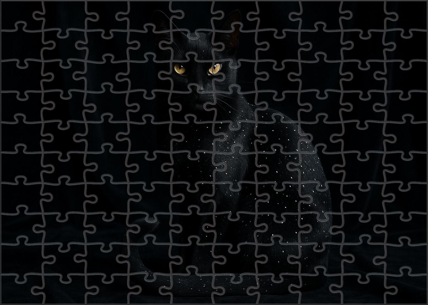Midnight Mirage Ebony Coat With Starry Speckles And Mysterious Allure 1000 Piece Puzzle