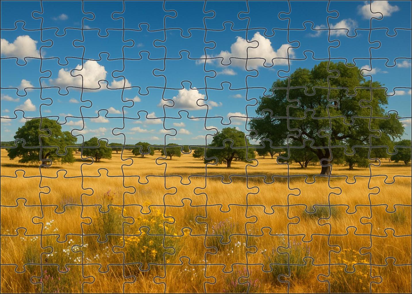 Golden Prairie Flats Puzzle For Kids
