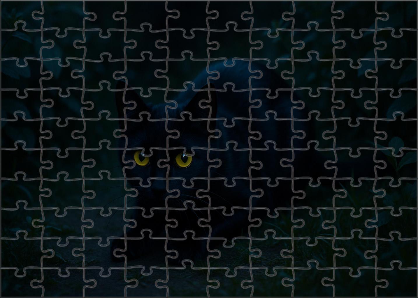 Shadow Ember Jet Black Coat With Bold Personality Family Puzzles