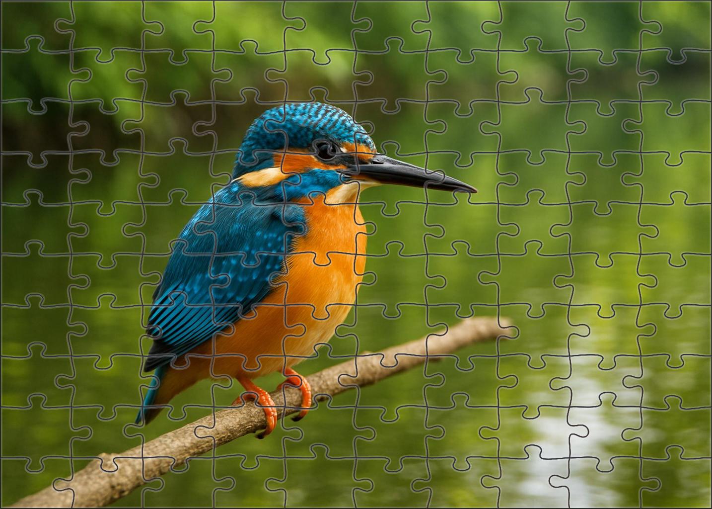 Azure Kingfisher Tiny River Jewel Challenging Puzzles