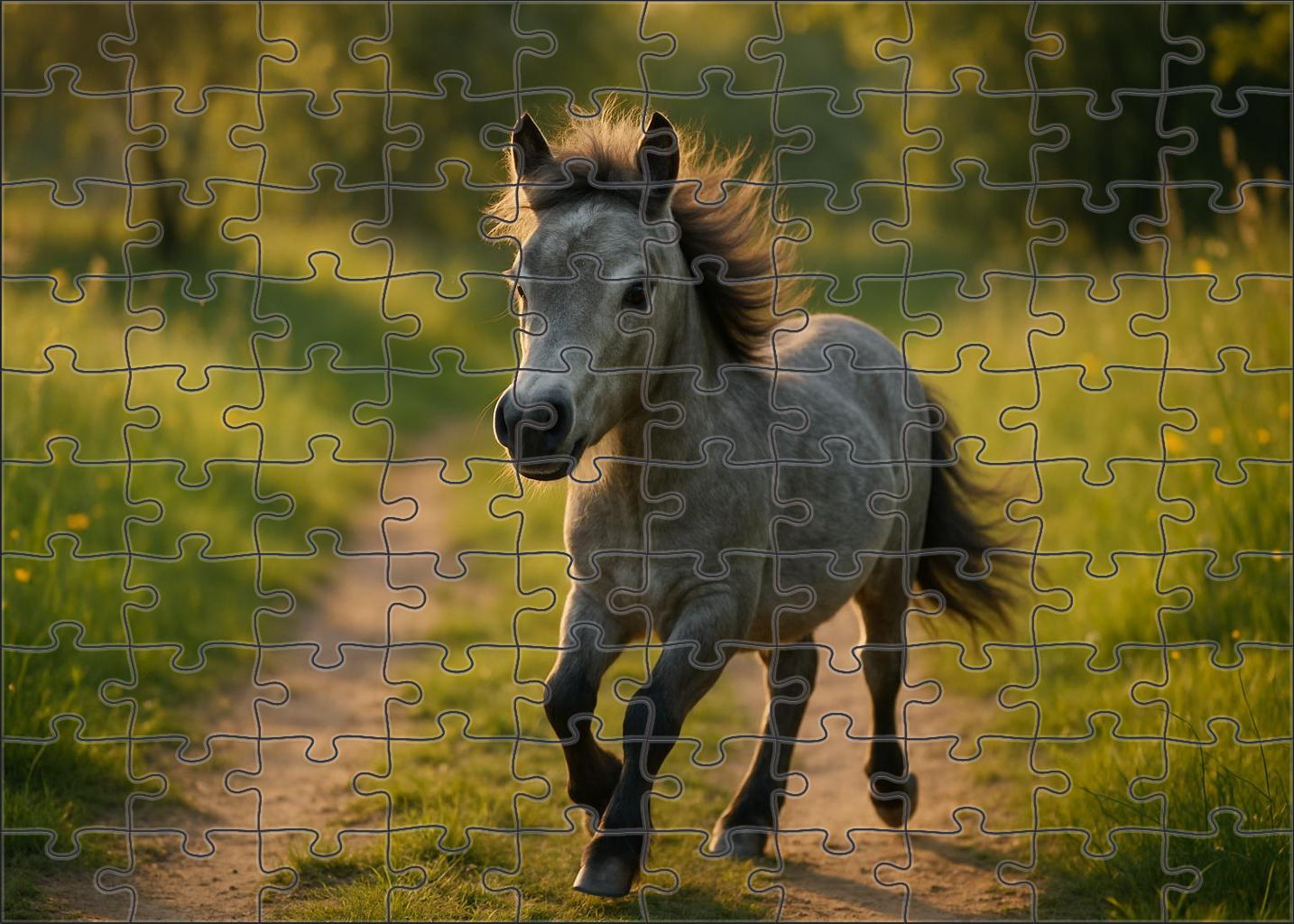 Silver Lining Pony Agile Gray With Playful Spirit Challenging Puzzles