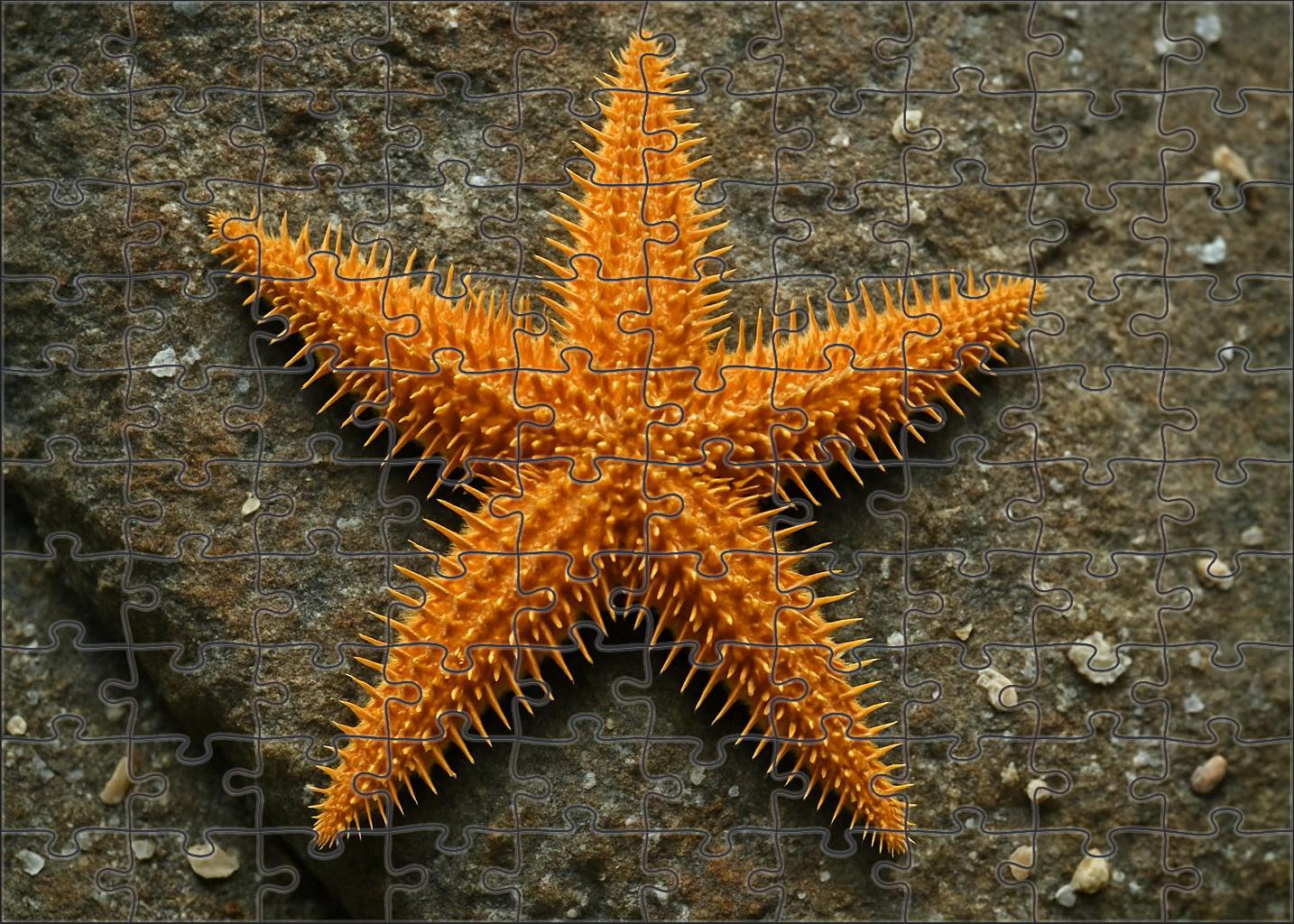 Amber Spiny Starfish Hardy Benthic Forager 200 Piece Puzzle