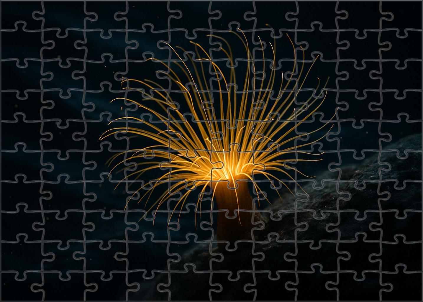 Golden Thread Anemone Delicate Predator With Radiant Tentacles 200 Piece Puzzle