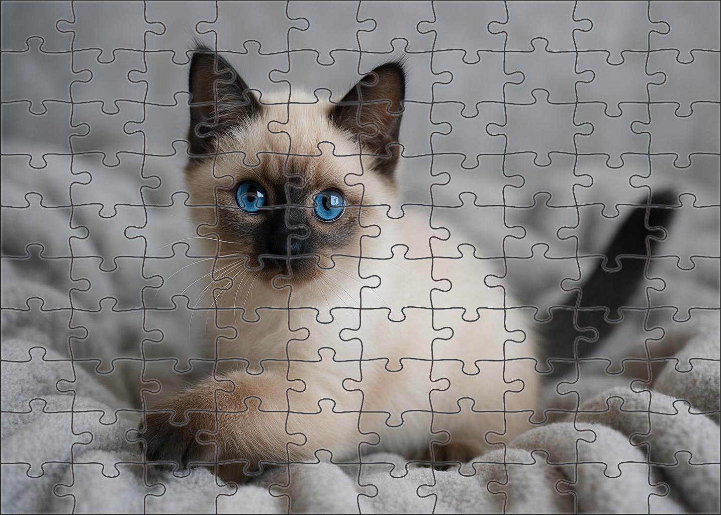 Sapphire Dream 50 Piece Puzzle