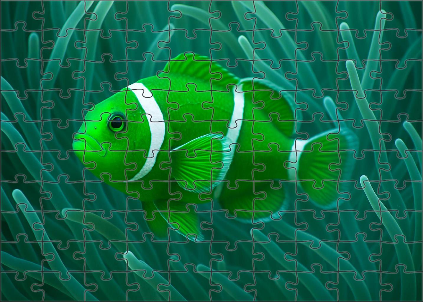 Jade-tinted Anemonefish 20 Piece Puzzle
